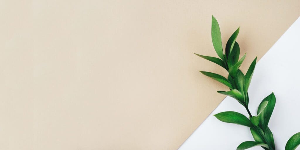 Fresh green branch on a beige background.